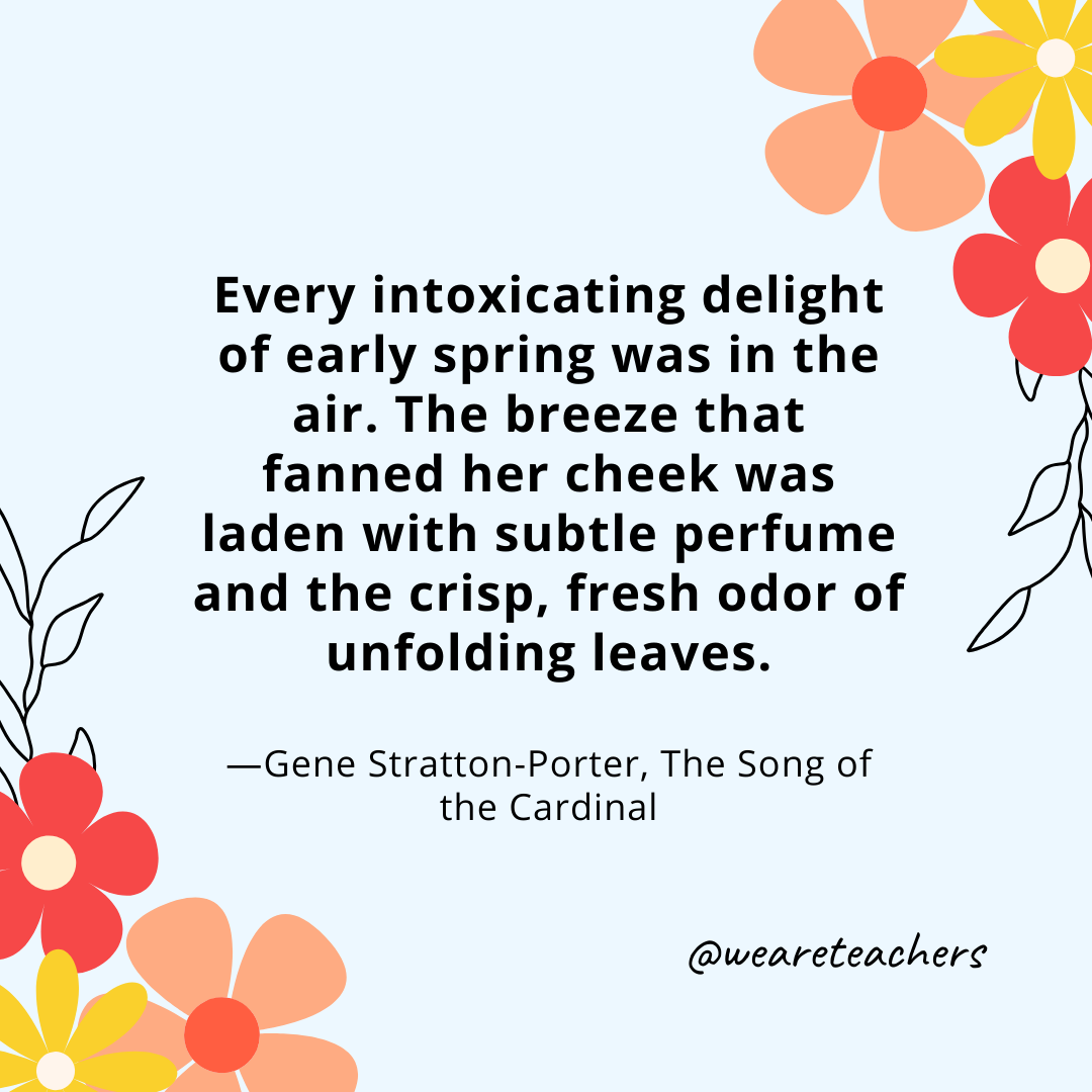 Every intoxicating delight of early spring was in the air. The breeze that fanned her cheek was laden with subtle perfume and the crisp, fresh odor of unfolding leaves. - Gene Stratton-Porter, The Song of the Cardinal- spring quotes