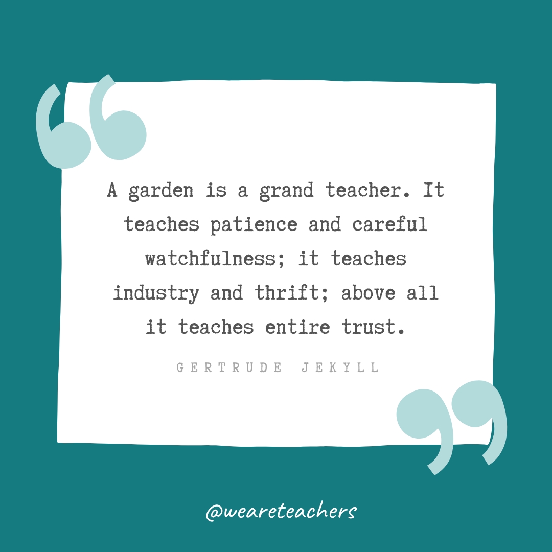 A garden is a grand teacher. It teaches patience and careful watchfulness; it teaches industry and thrift; above all it teaches entire trust. —Gertrude Jekyll- Teacher Appreciation Quotes