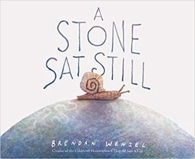 Book cover for A Stone Sat Still