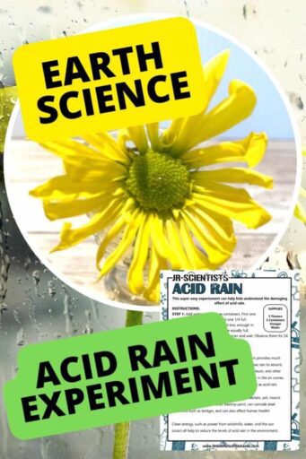 Acid rain experiment for 3rd grade students. 