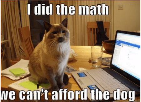 I did the math. We can’t afford the dog.