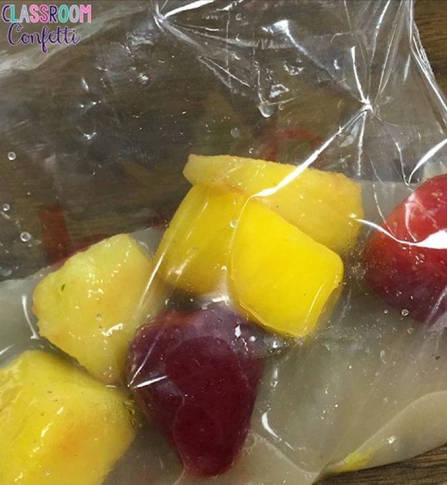 Pineapple and strawberries in a bag- anatomy activities