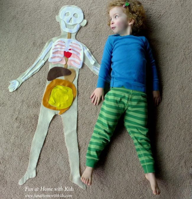 Anatomy Activities Fun At Home With Kids
