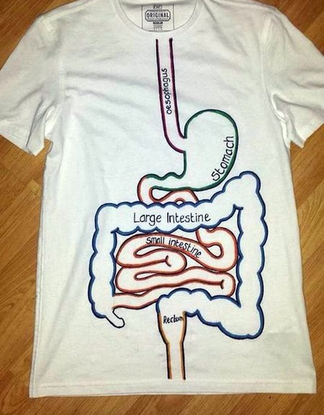 Shirt with drawing of the large and small intestine and stomach