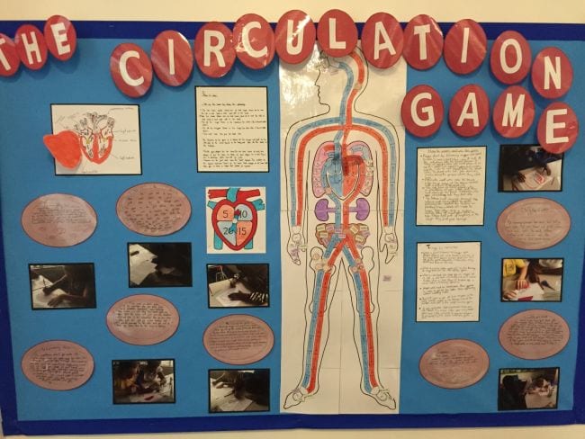 Diagram of the circulation game