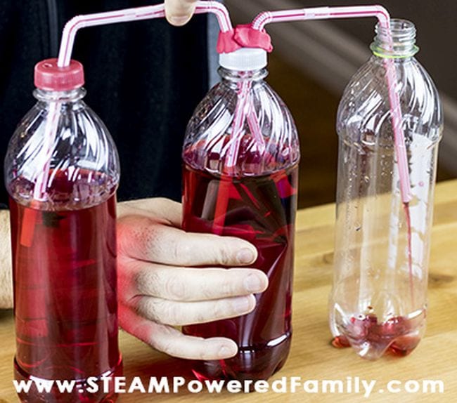 Water bottles with red food coloring and straws connecting them- anatomy activities