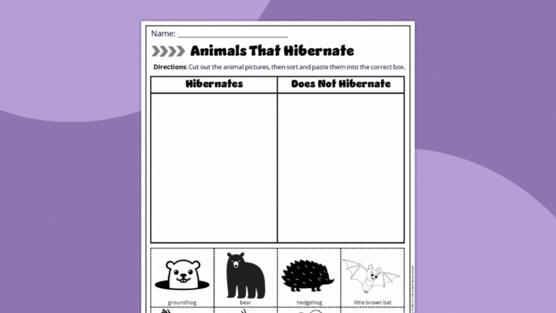 Gif featuring worksheet pages about hiberation.