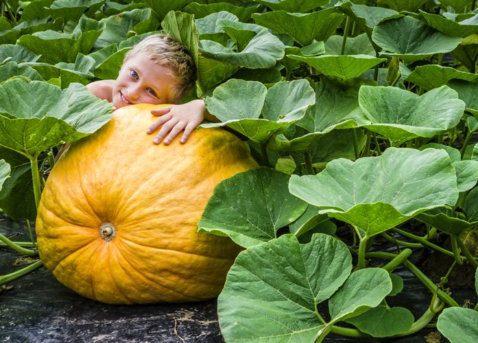 a young boy hugging a giant pumpkin in a pumpkin patch