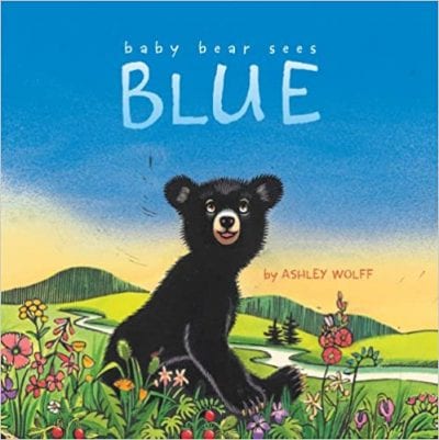 Book cover for Baby Bear Sees Blue as an example of preschool books
