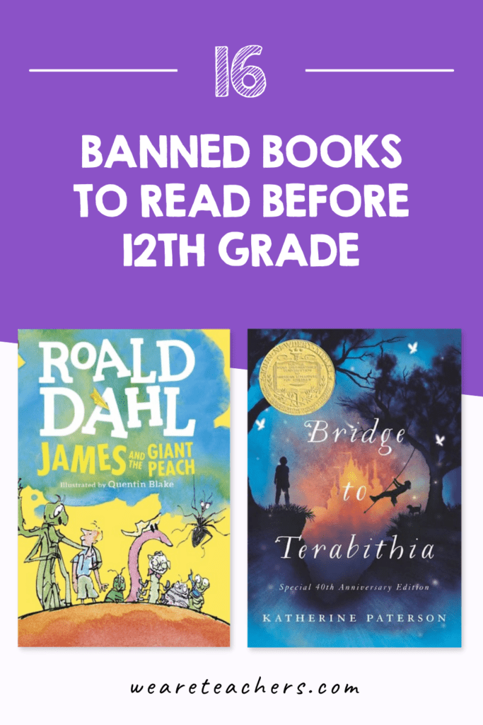 16 Banned Books to Read Before 12th Grade