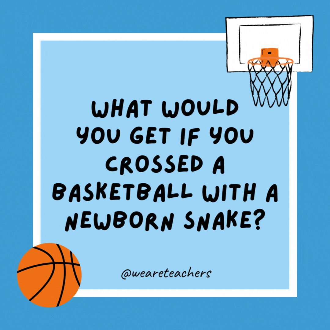 What would you get if you crossed a basketball with a newborn snake?

A bouncing baby boa.