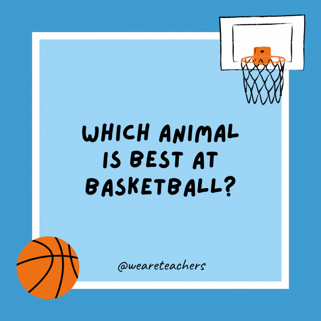 Which animal is best at basketball? 

A score-pion.