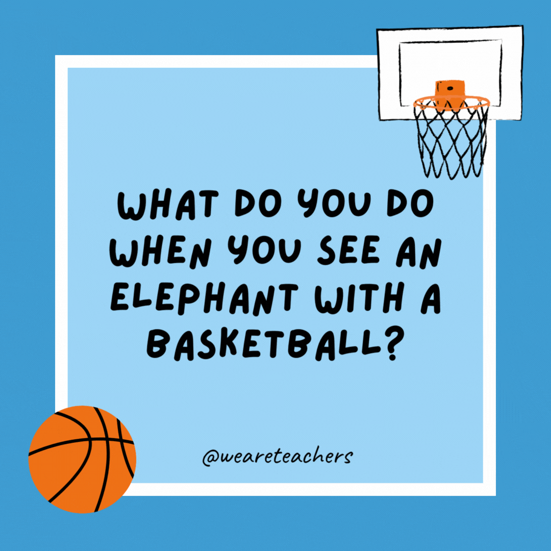 What do you do when you see an elephant with a basketball?

Get out of the way.