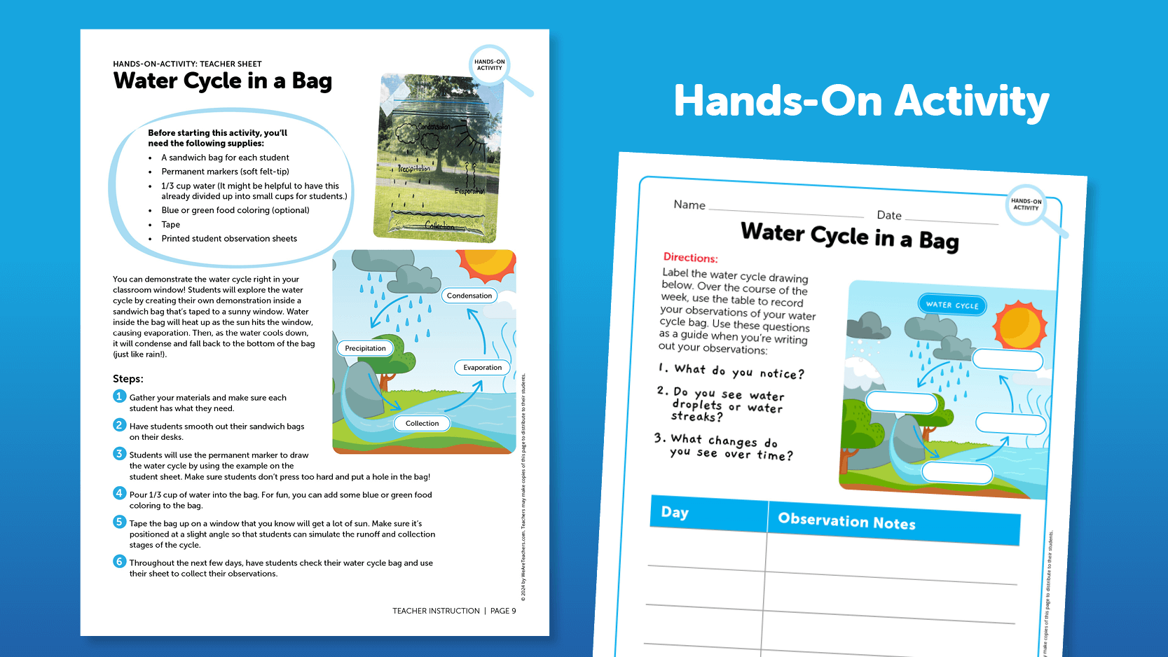 weather worksheets and hands-on activity idea
