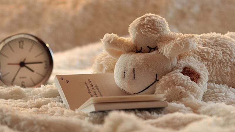 A stuff toy mouse reading a book in bed