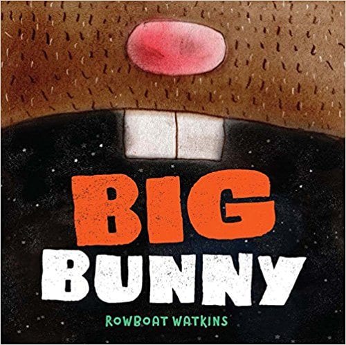 Big Bunny book cover