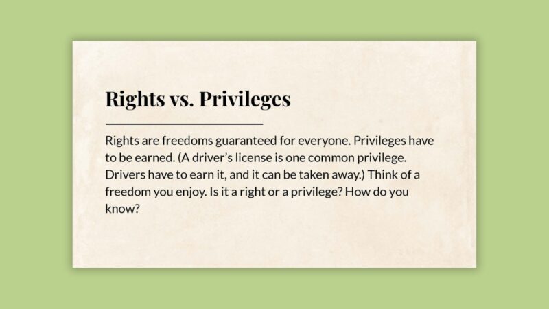 Rights vs. Privileges slide