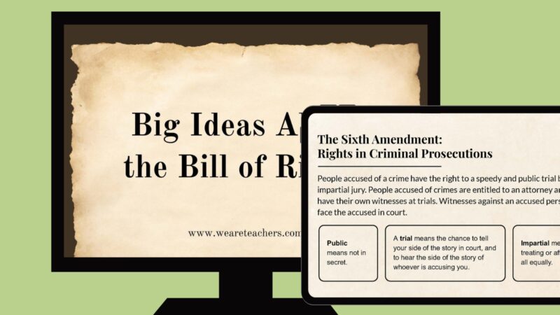 Free Bill of Rights Worksheet Bundle
