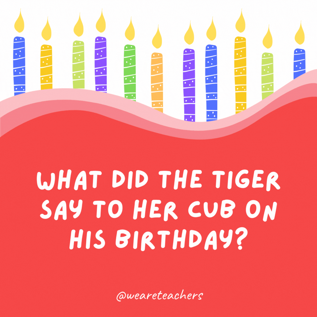 What did the tiger say to her cub on his birthday?