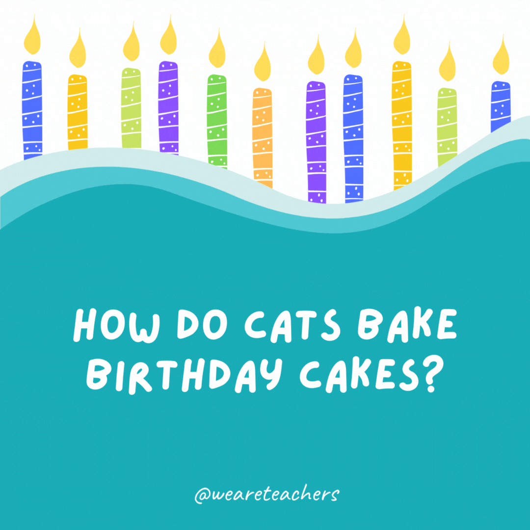 How do cats bake birthday cakes?