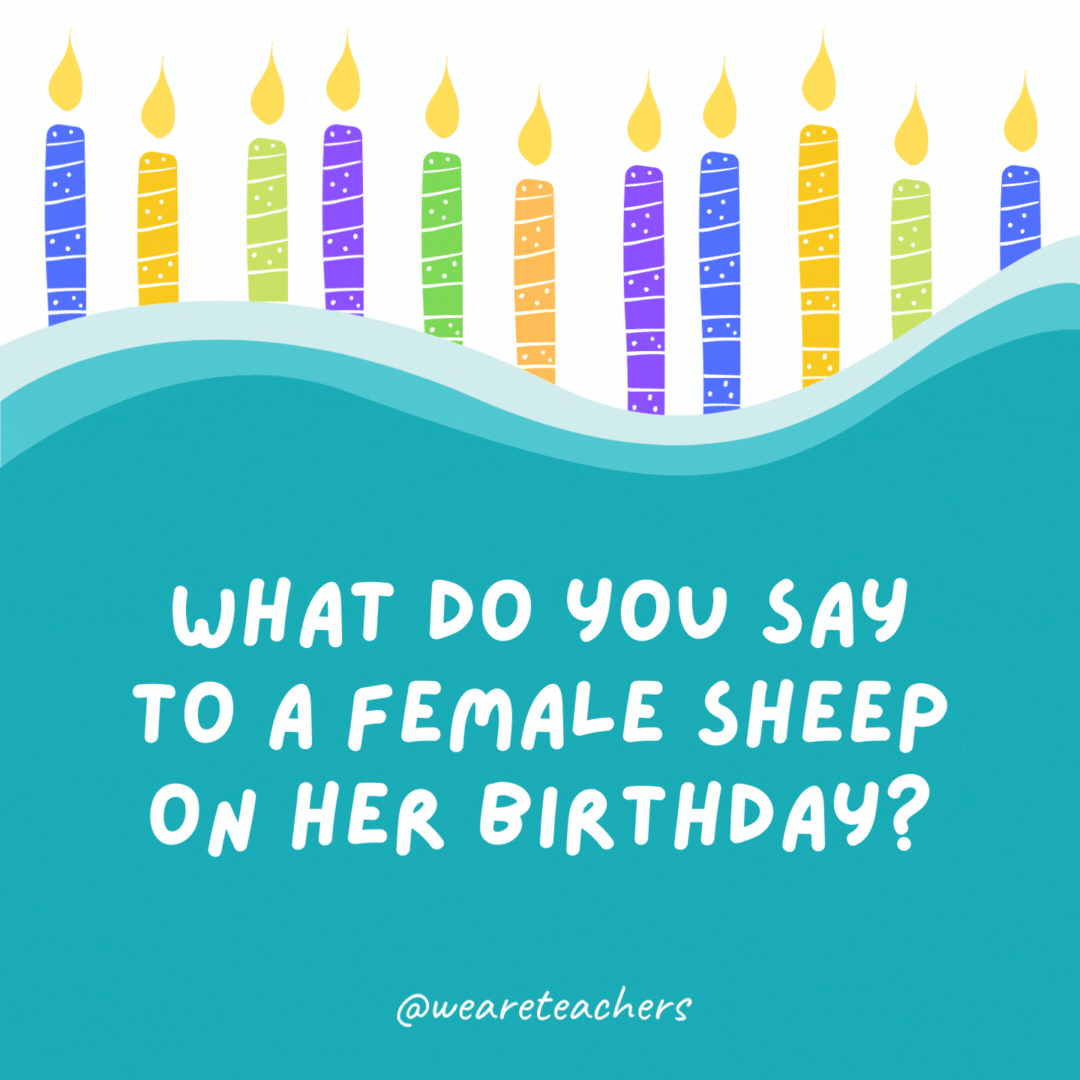 What do you say to a female sheep on her birthday?