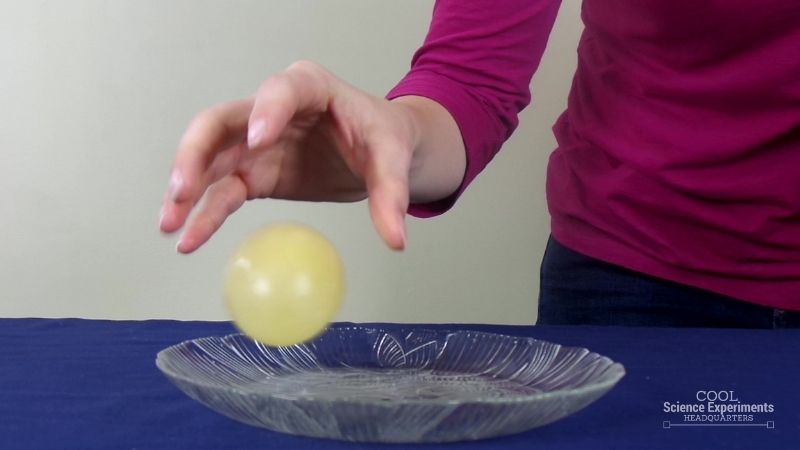 Photo of a child's hand shown above an egg that has been through a chemical change and is now rubberized and can bounce on top of a dish without breaking.