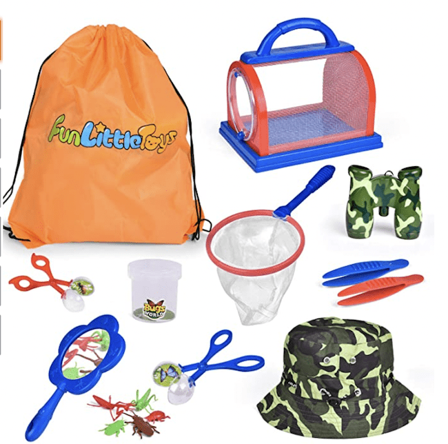 Items in a bug catching kit for kids