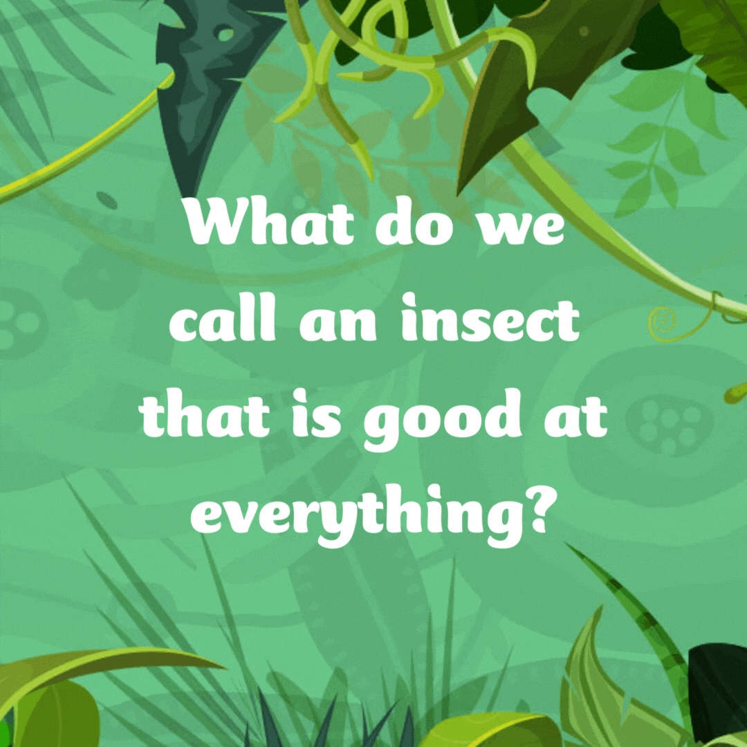 What do we call an insect that is good at everything?