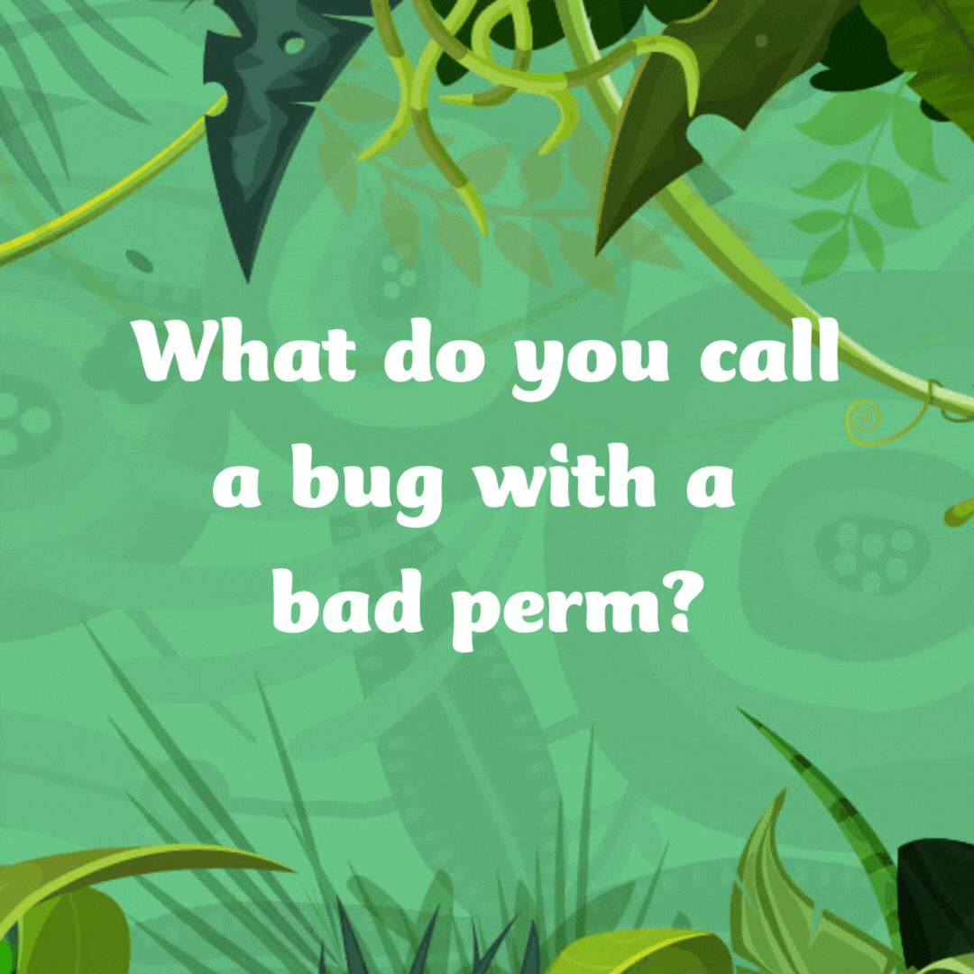What do you call a bug with a bad perm?