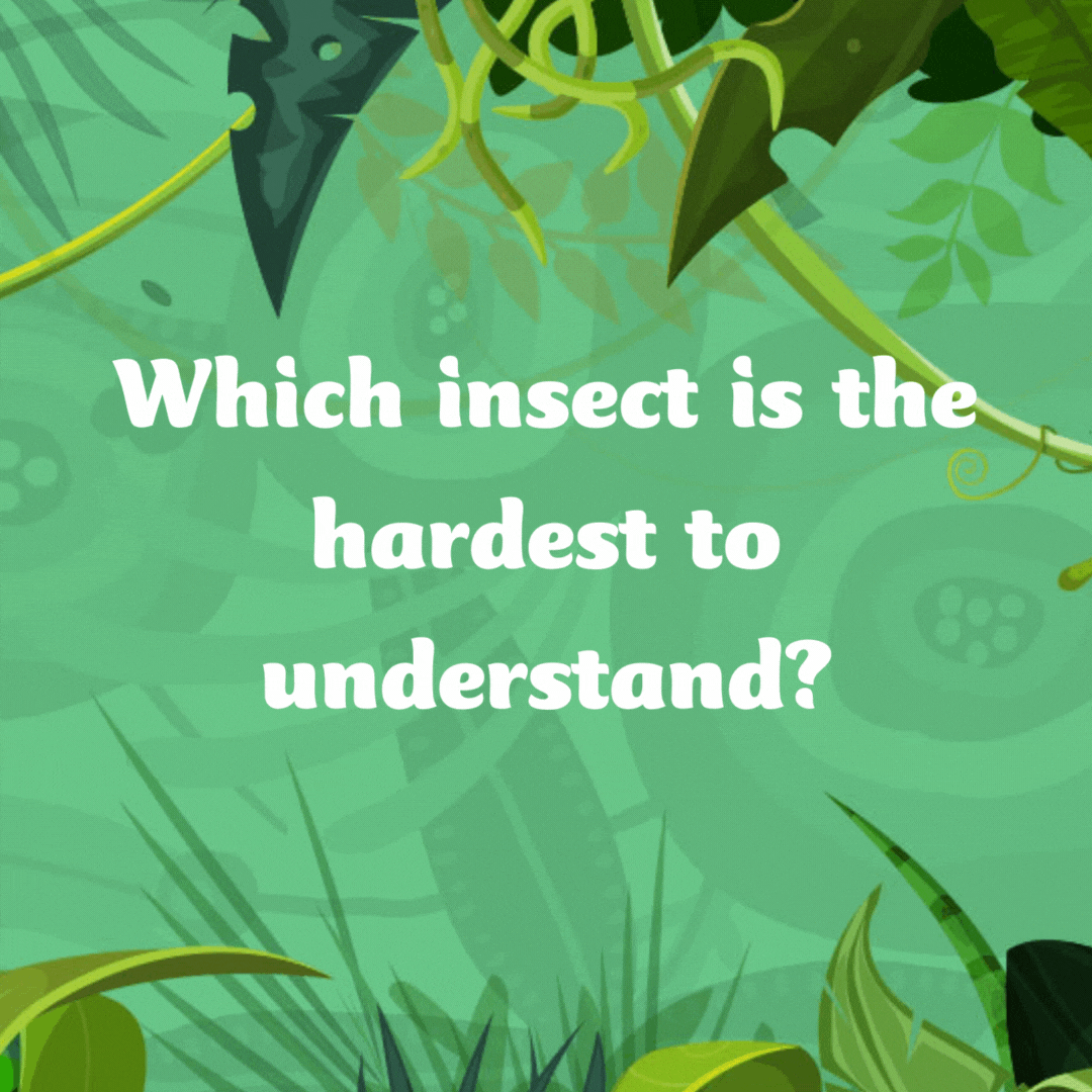 Which insect is the hardest to understand?