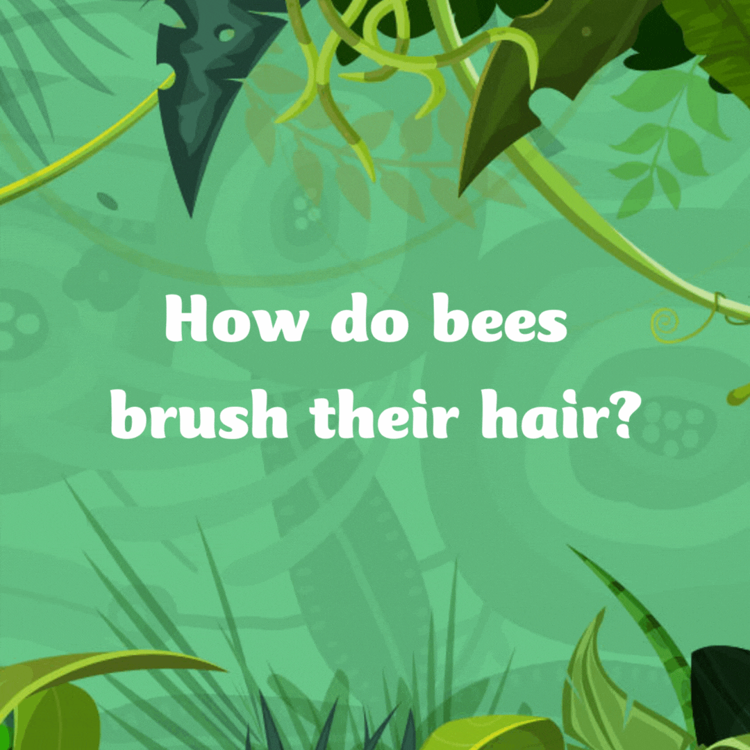How do bees brush their hair?