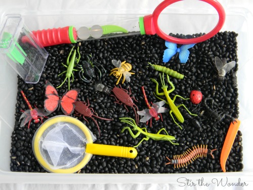 A bin filled with black beans and plastic insects