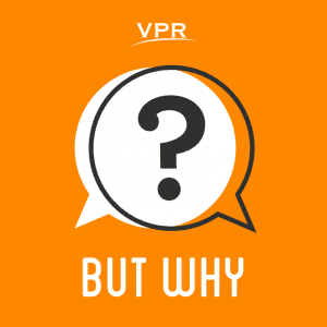 Cover of "But Why"