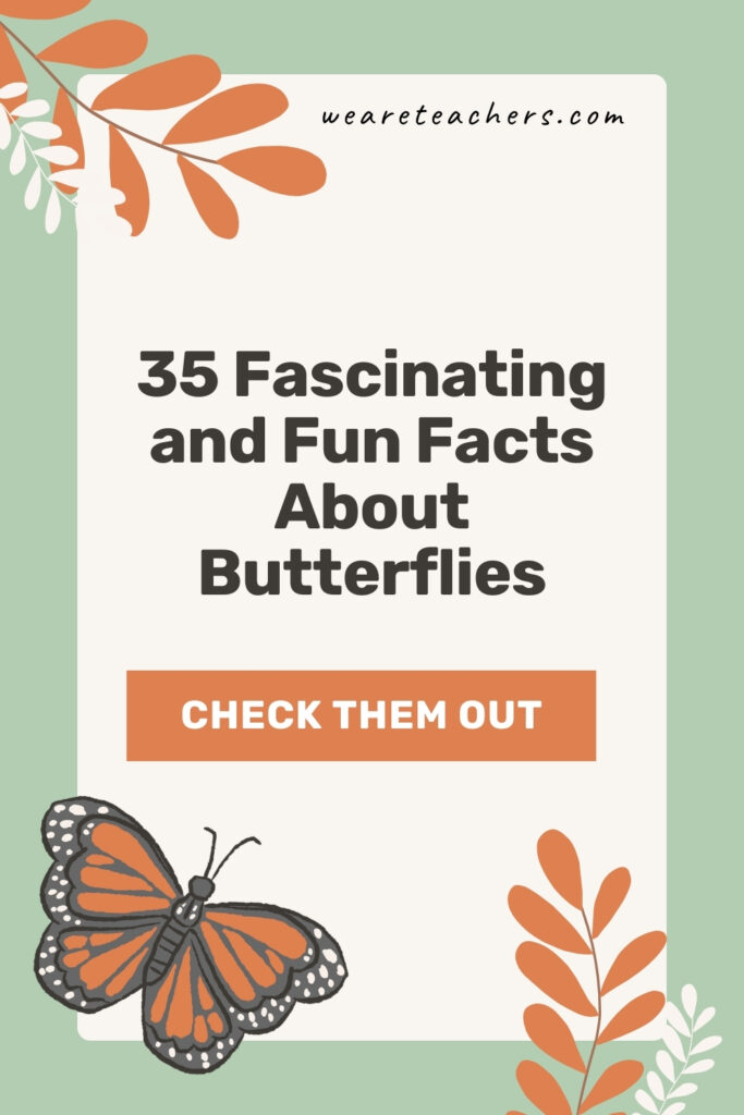 Learn the largest, smallest, and fastest species, plus more fun and fascinating facts about butterflies and caterpillars.