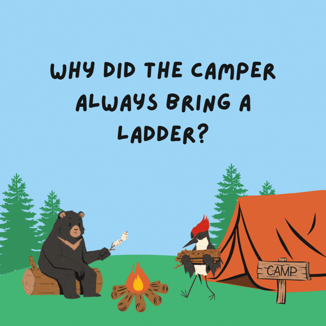 Why did the camper always bring a ladder? To raise the camping experience to new heights.