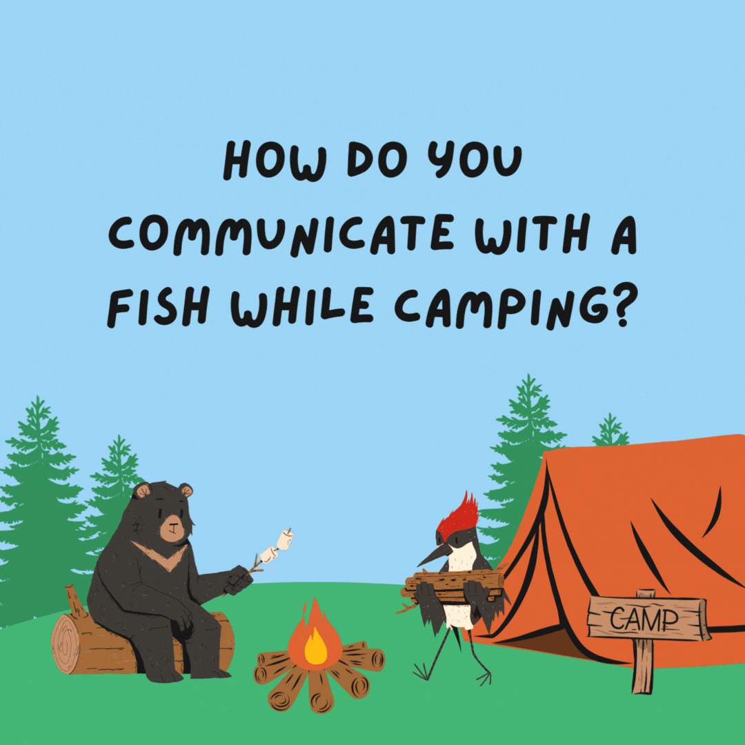 How do you communicate with a fish while camping? Drop it a line.