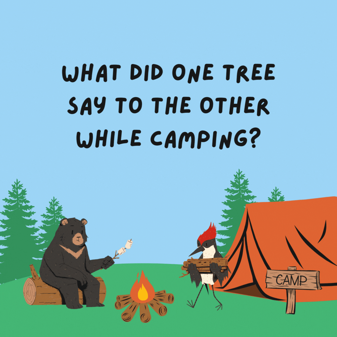 What did one tree say to the other while camping? I'm falling for you!- camping jokes