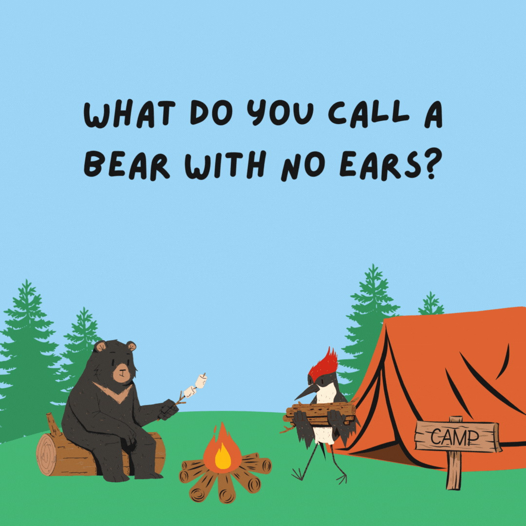What do you call a bear with no ears? Anything you want! It can't hear you!