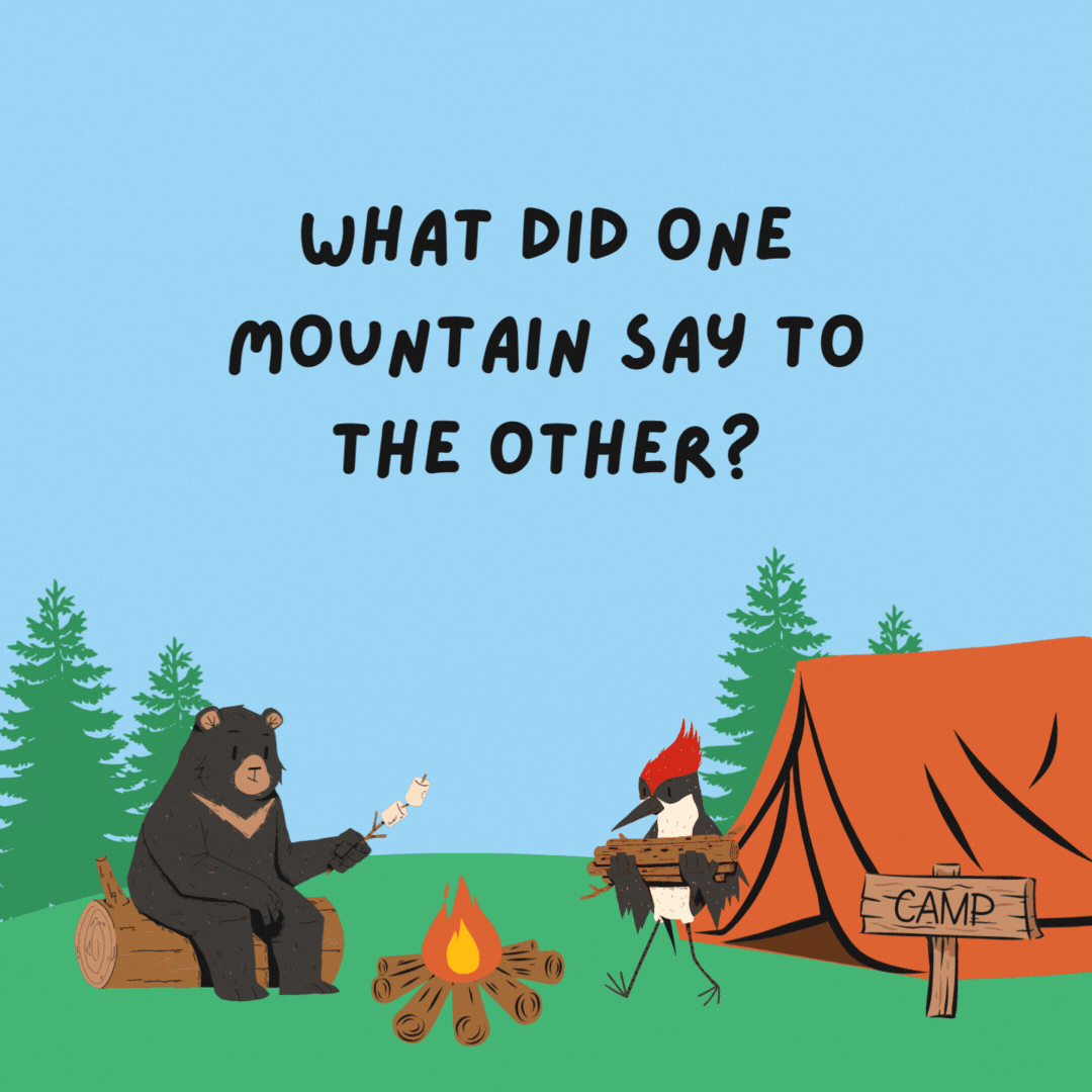 What did one mountain say to the other? You rock!