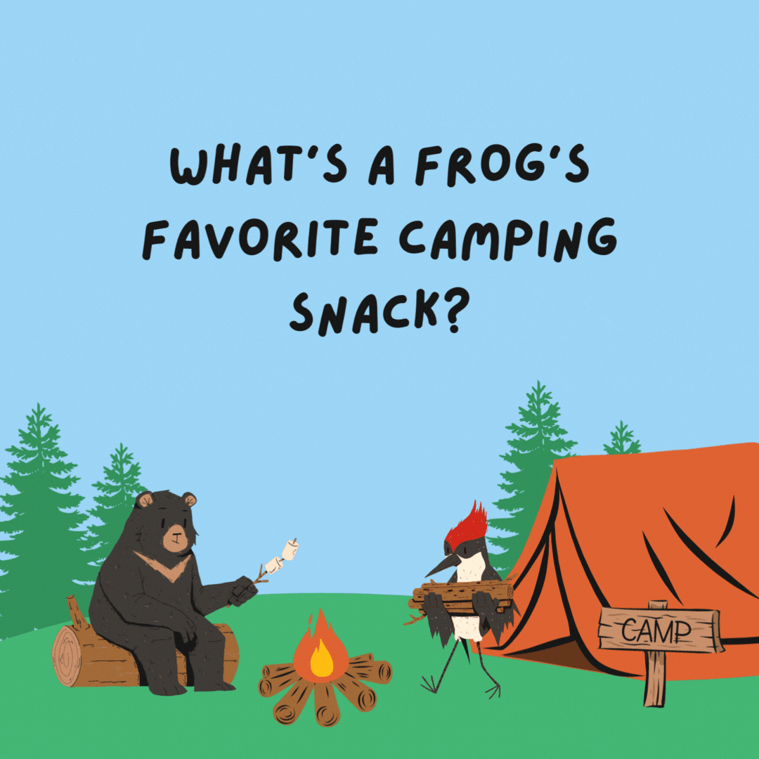 What's a frog's favorite camping snack? French flies.