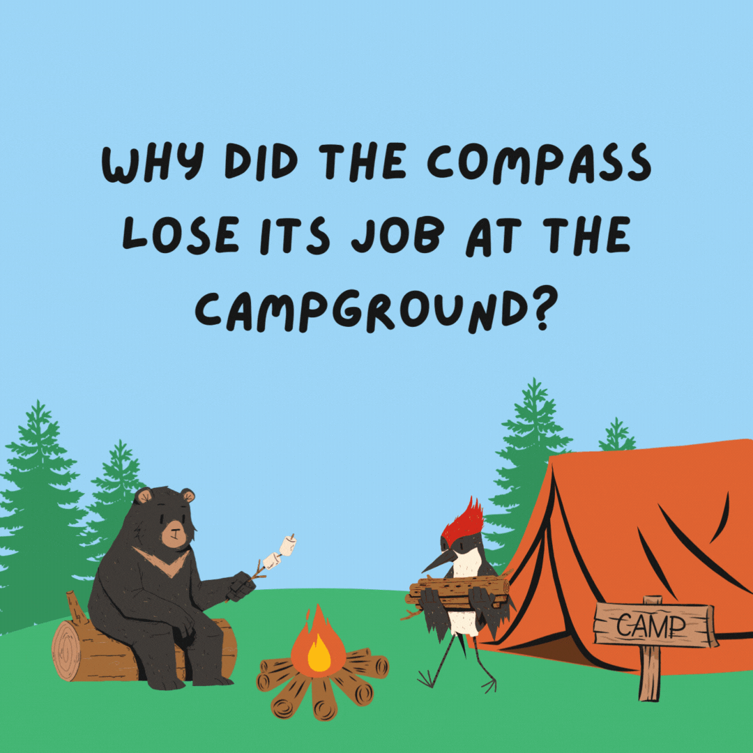 Why did the compass lose its job at the campground? It had no sense of direction.- camping jokes