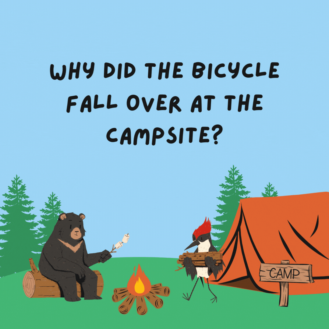Why did the bicycle fall over at the campsite? Because it was two-tired.- camping jokes