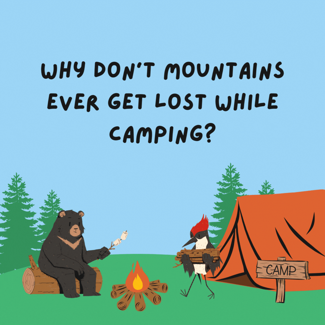 Why don't mountains ever get lost while camping? They always "peak" at the map.