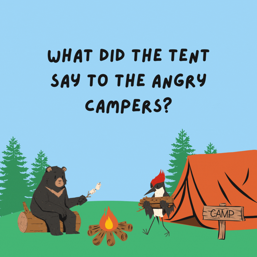 What did the tent say to the angry campers? Don't pitch a fit!