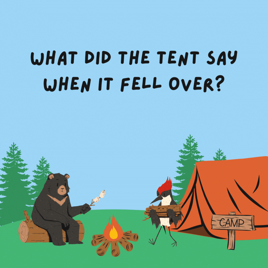 What did the tent say when it fell over? Can you pitch me up?