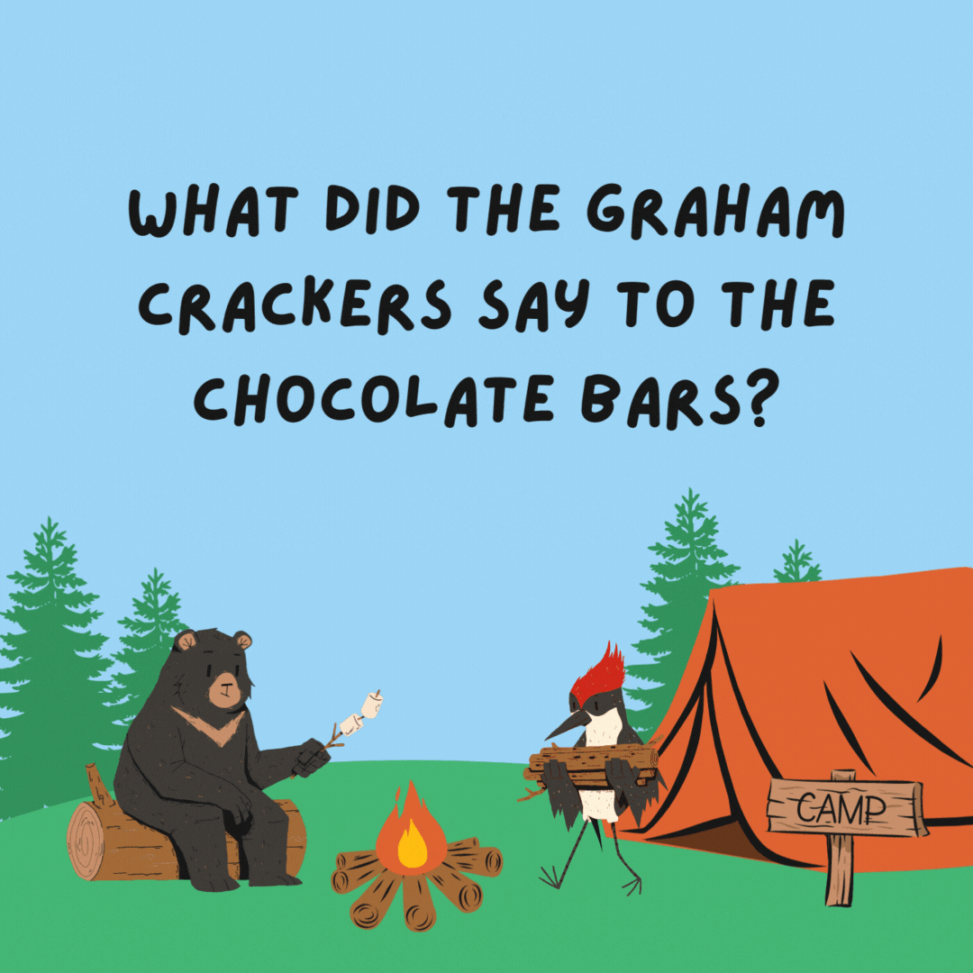 What did the graham crackers say to the chocolate bars? We need s'more marshmallows!
