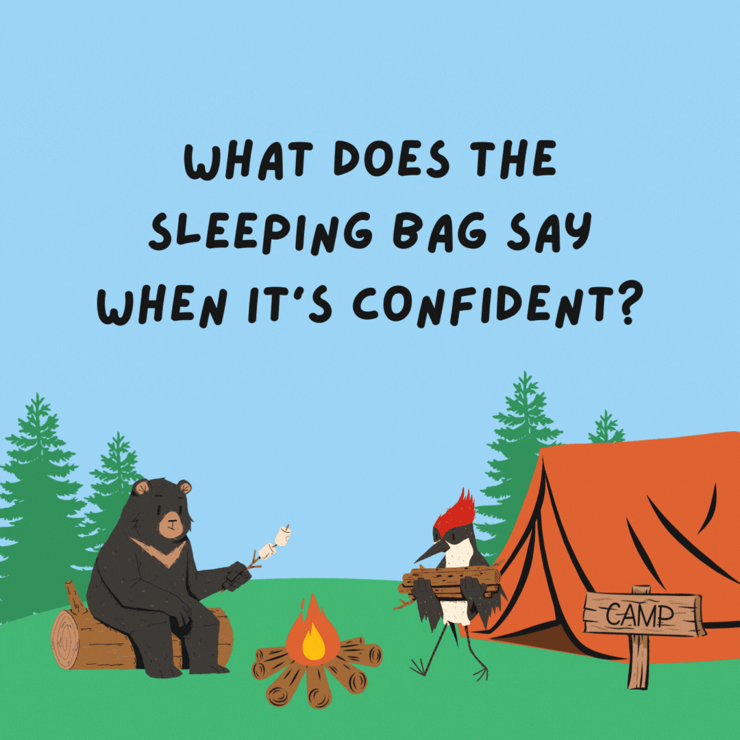 What does the sleeping bag say when it's confident? I've got this in the bag!