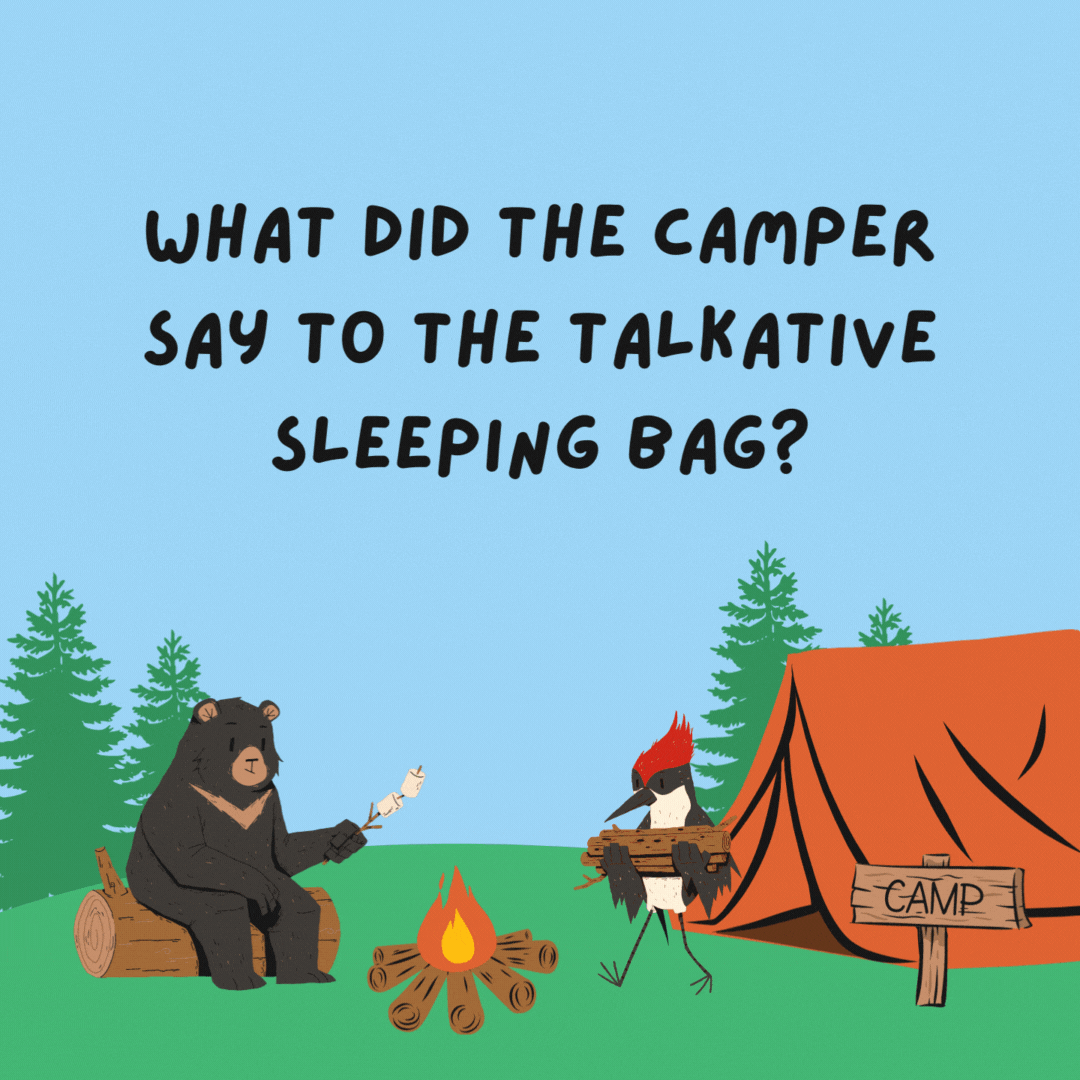 What did the camper say to the talkative sleeping bag? Zip it!