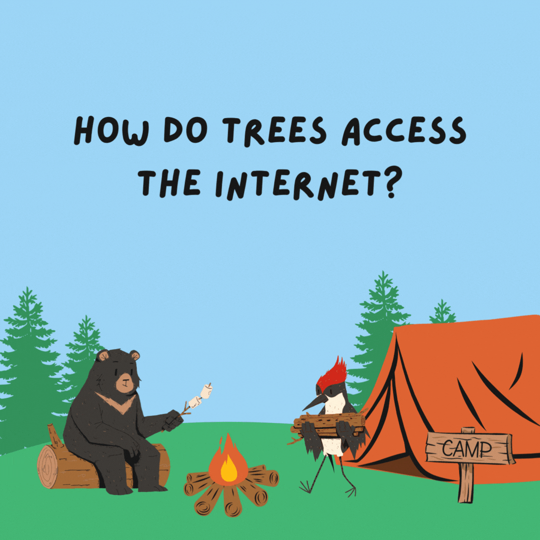 How do trees access the internet? They log in.