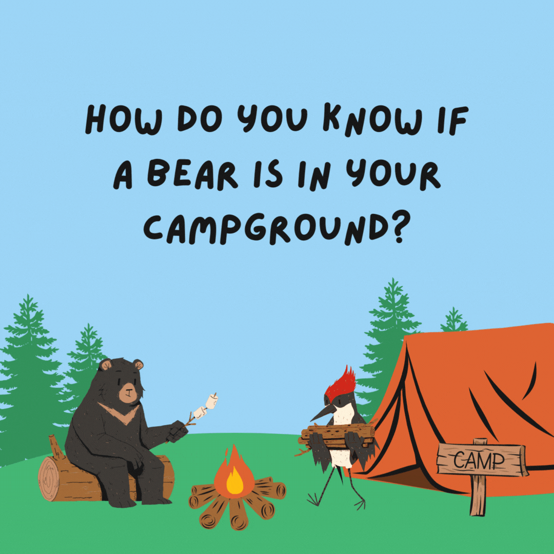 How do you know if a bear is in your campground? You'll see paw-sitive evidence.